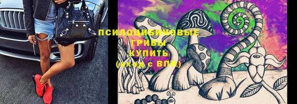 ПСИЛОЦИБИНОВЫЕ ГРИБЫ Алзамай