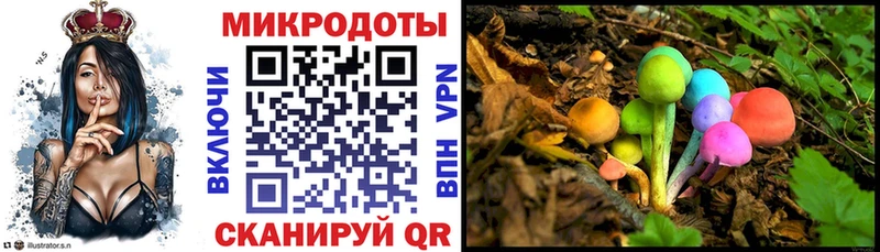 мориарти как зайти  Троицк  Галлюциногенные грибы Cubensis 